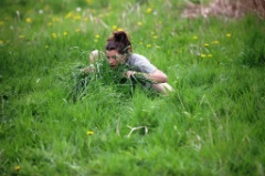 Compost 28 * 5616 x 3744 * (8.1MB)
